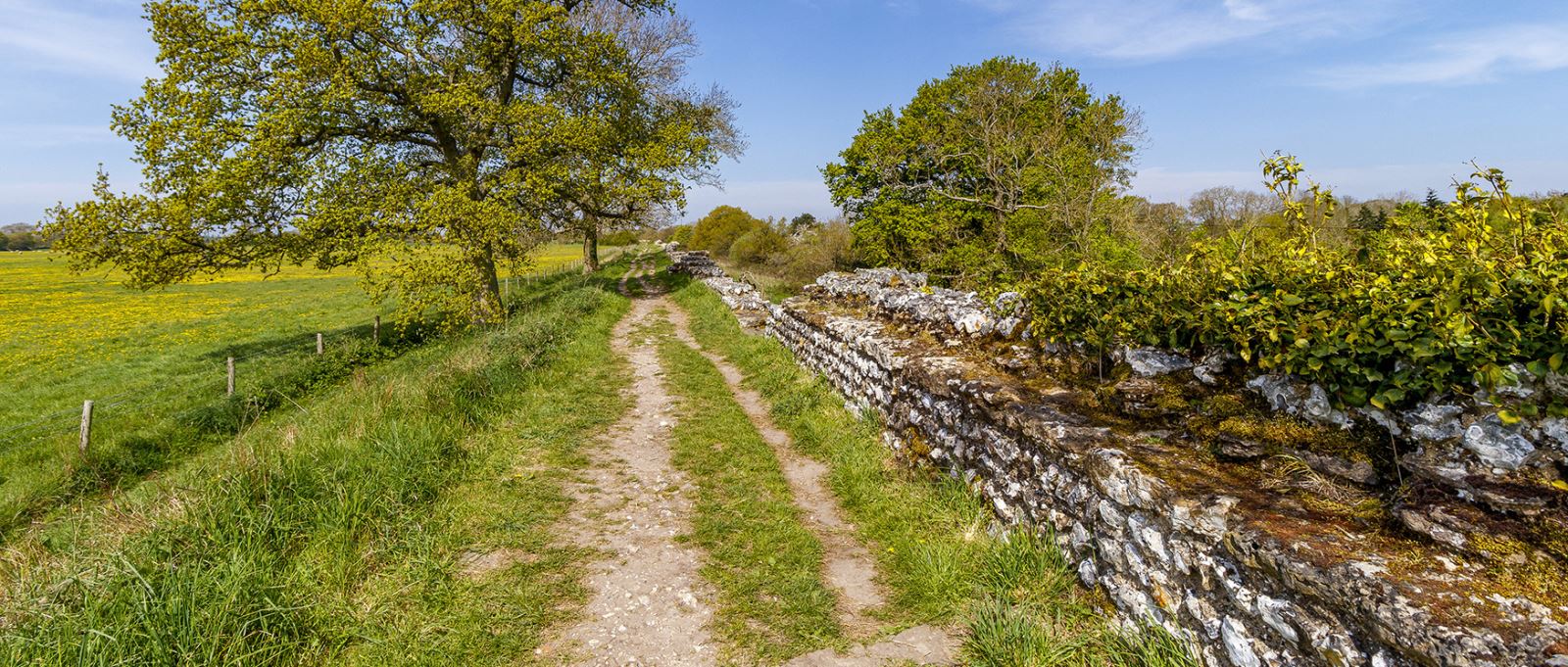 Silchester Roman Wall credit English Heritage